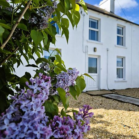 The Alpaca Farmhouse With Hot Tub And Alpaca Experience Included Dromara Exteriör bild