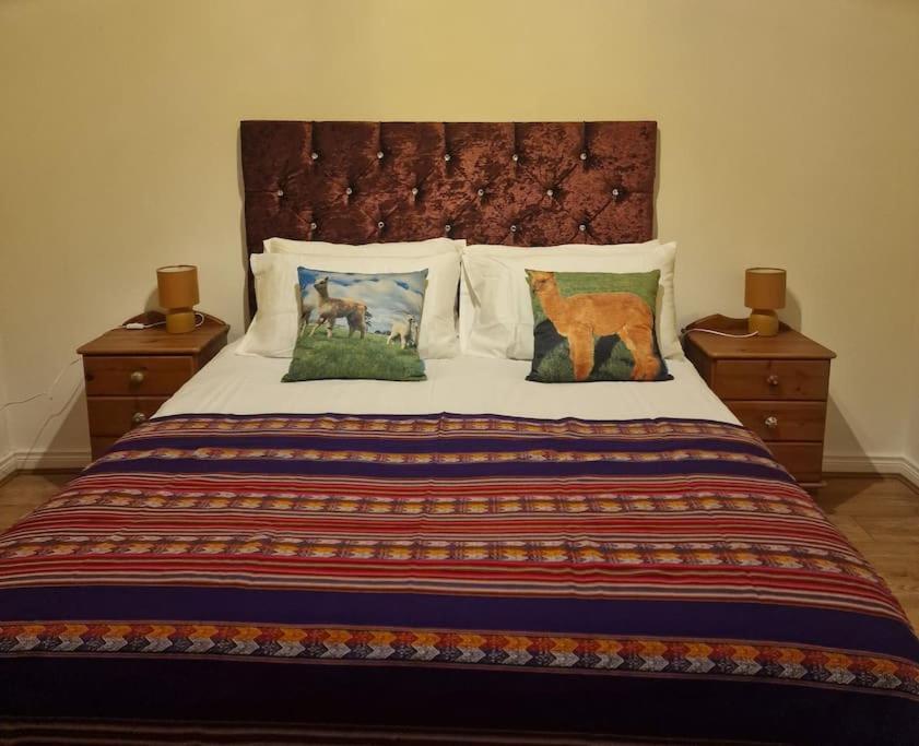 The Alpaca Farmhouse With Hot Tub And Alpaca Experience Included Dromara Exteriör bild
