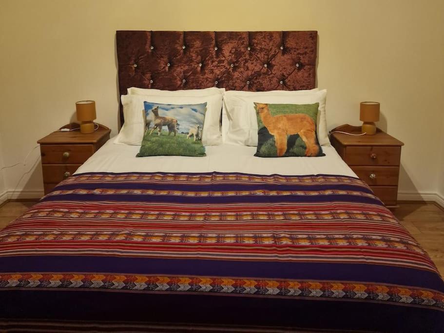 The Alpaca Farmhouse With Hot Tub And Alpaca Experience Included Dromara Exteriör bild