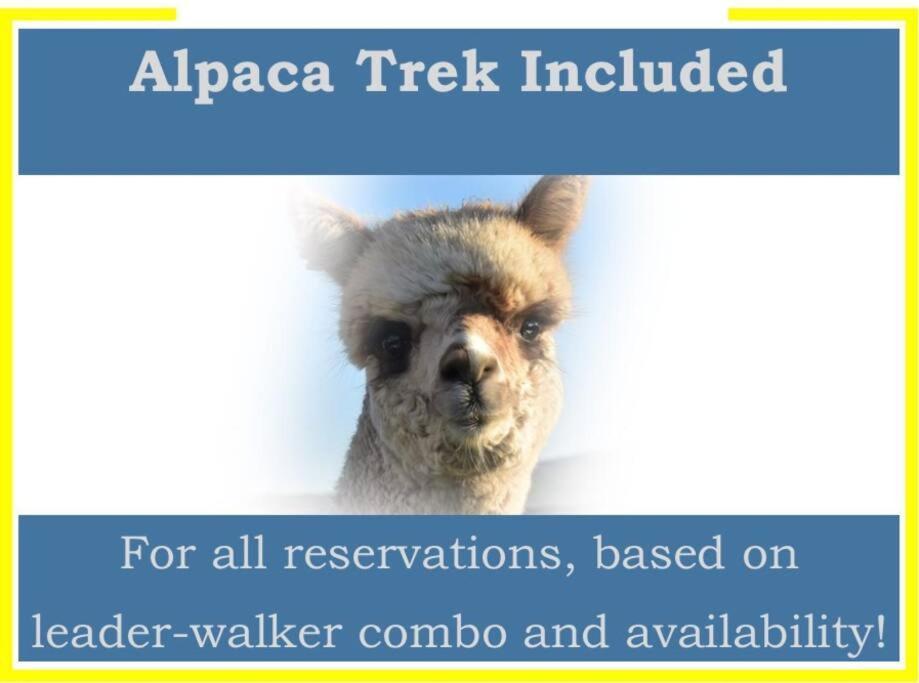 The Alpaca Farmhouse With Hot Tub And Alpaca Experience Included Dromara Exteriör bild