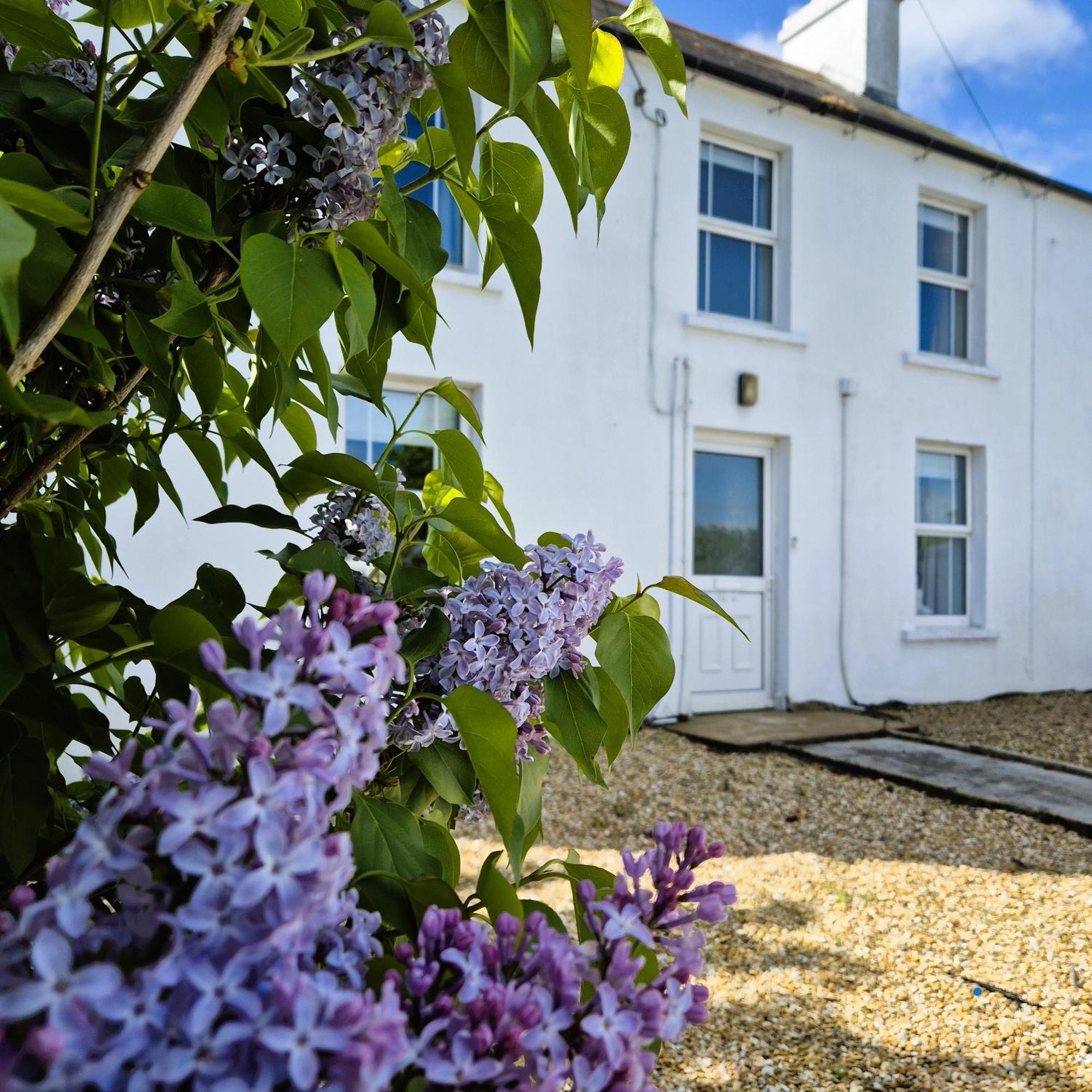 The Alpaca Farmhouse With Hot Tub And Alpaca Experience Included Dromara Exteriör bild